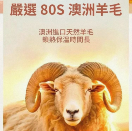 假兩件加絨毛衣