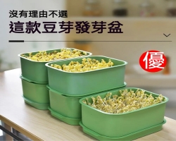 豆芽苗泡發盆